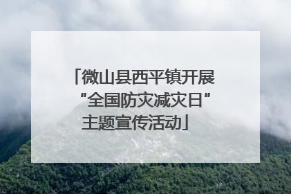 微山县西平镇开展“全国防灾减灾日”主题宣传活动
