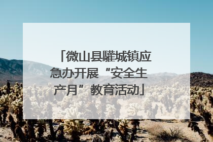 微山县驩城镇应急办开展“安全生产月”教育活动