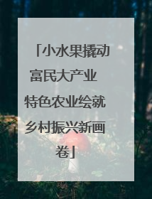 小水果撬动富民大产业 特色农业绘就乡村振兴新画卷
