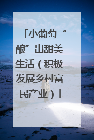 小葡萄“酿”出甜美生活（积极发展乡村富民产业）