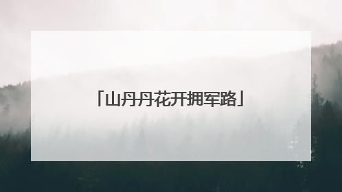 山丹丹花开拥军路