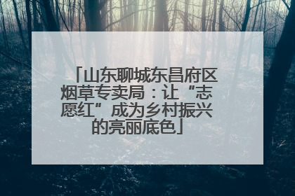山东聊城东昌府区烟草专卖局：让“志愿红”成为乡村振兴的亮丽底色