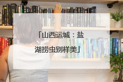 山西运城：盐湖捞虫别样美