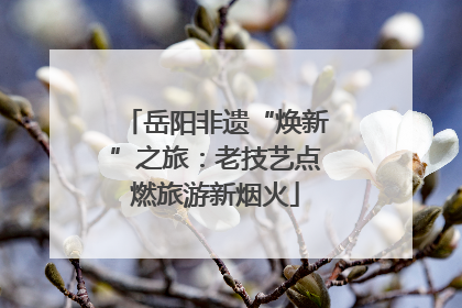 岳阳非遗“焕新”之旅：老技艺点燃旅游新烟火