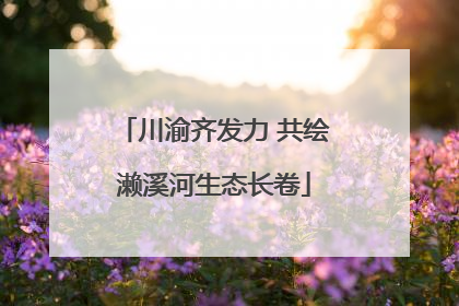川渝齐发力 共绘濑溪河生态长卷