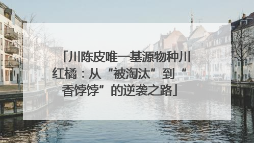 川陈皮唯一基源物种川红橘：从“被淘汰”到“香饽饽”的逆袭之路