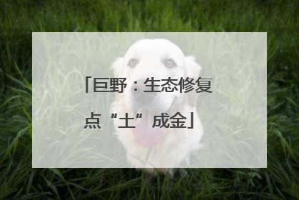 巨野：生态修复点“土”成金