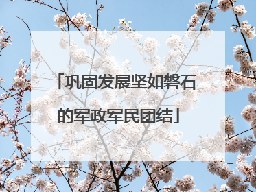 巩固发展坚如磐石的军政军民团结