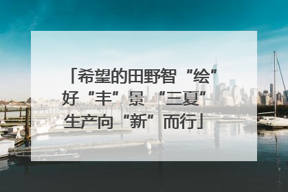 希望的田野智“绘”好“丰”景 “三夏”生产向“新”而行