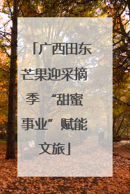 广西田东芒果迎采摘季 “甜蜜事业”赋能文旅