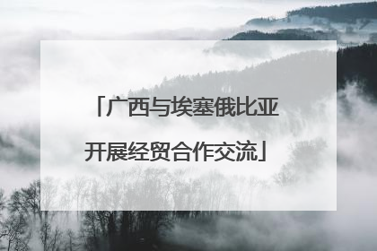 广西与埃塞俄比亚开展经贸合作交流