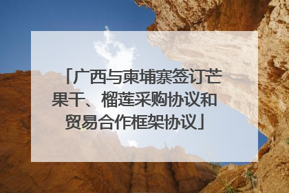 广西与柬埔寨签订芒果干、榴莲采购协议和贸易合作框架协议