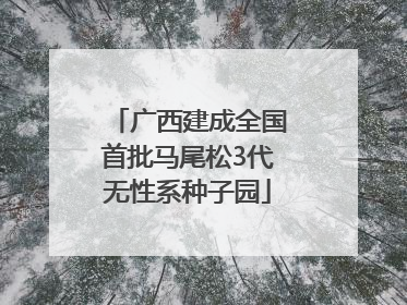 广西建成全国首批马尾松3代无性系种子园