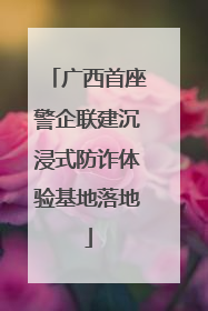 广西首座警企联建沉浸式防诈体验基地落地
