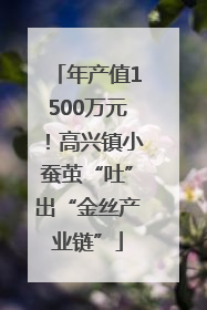 年产值1500万元！高兴镇小蚕茧“吐”出“金丝产业链”