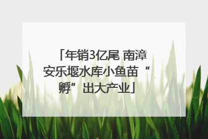 年销3亿尾 南漳安乐堰水库小鱼苗“孵”出大产业