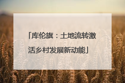 库伦旗：土地流转激活乡村发展新动能