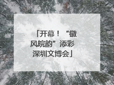 开幕！“徽风皖韵”添彩深圳文博会