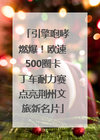 引擎咆哮燃爆！欧速500圈卡丁车耐力赛点亮荆州文旅新名片