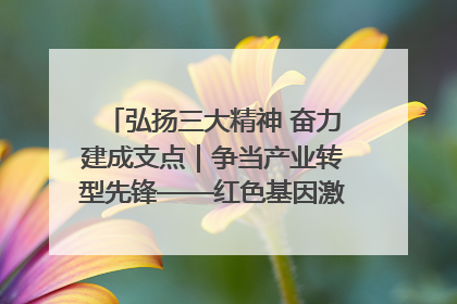 弘扬三大精神 奋力建成支点｜争当产业转型先锋——红色基因激荡荆门转型跨越之路