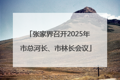 张家界召开2025年市总河长、市林长会议