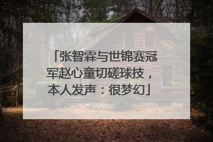 张智霖与世锦赛冠军赵心童切磋球技，本人发声：很梦幻