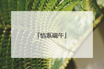 情系端午