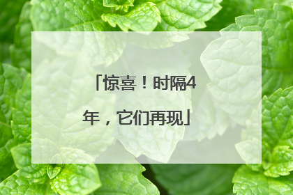 惊喜！时隔4年，它们再现