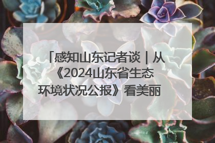 感知山东记者谈｜从《2024山东省生态环境状况公报》看美丽山东建设的“成绩单”与“任务书”