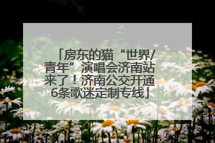 房东的猫“世界/青年”演唱会济南站来了！济南公交开通6条歌迷定制专线