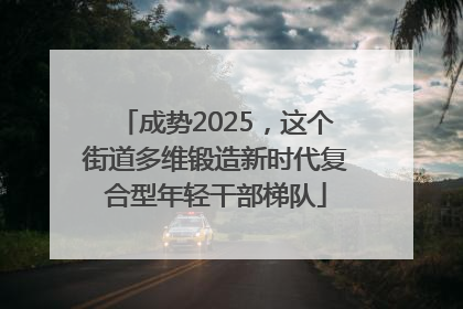 成势2025，这个街道多维锻造新时代复合型年轻干部梯队