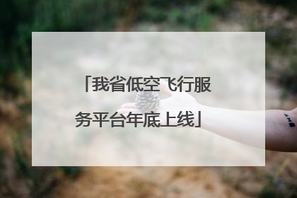 我省低空飞行服务平台年底上线