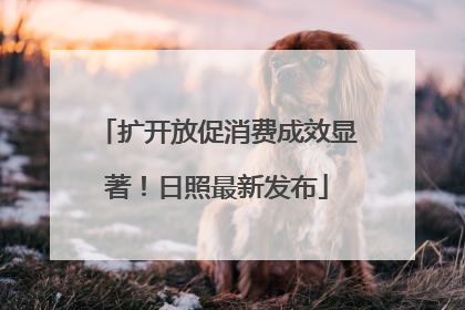 扩开放促消费成效显著！日照最新发布