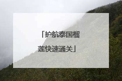 护航泰国榴莲快速通关