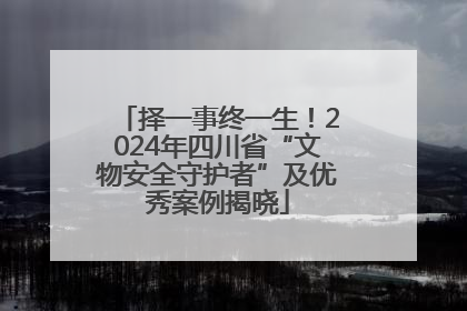 择一事终一生！2024年四川省“文物安全守护者”及优秀案例揭晓