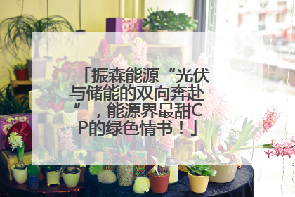 振森能源“光伏与储能的双向奔赴”，能源界最甜CP的绿色情书！