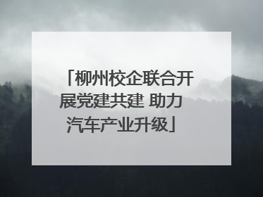 柳州校企联合开展党建共建 助力汽车产业升级