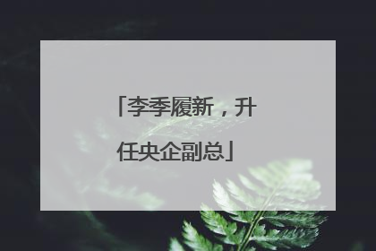 李季履新，升任央企副总