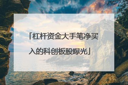杠杆资金大手笔净买入的科创板股曝光