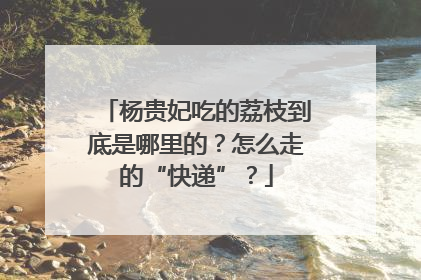杨贵妃吃的荔枝到底是哪里的？怎么走的“快递”？