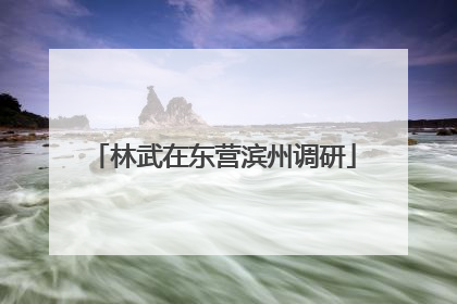林武在东营滨州调研