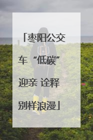 枣阳公交车“低碳”迎亲 诠释别样浪漫