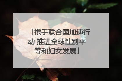 携手联合国加速行动 推进全球性别平等和妇女发展