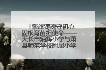 擎旗铸魂守初心 固根育苗担使命——天长市炳辉小学与萧县师范学校附属小学结对共建活动纪实