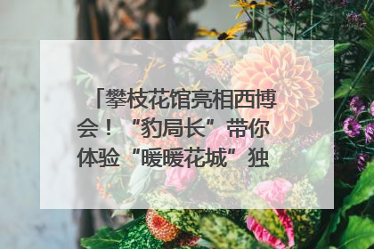 攀枝花馆亮相西博会！“豹局长”带你体验“暖暖花城”独特魅力｜西博视界