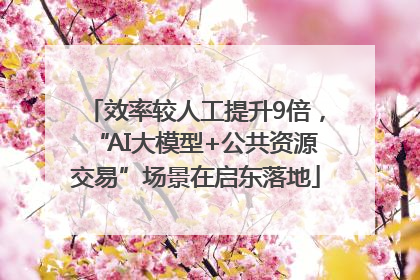 效率较人工提升9倍，“AI大模型+公共资源交易”场景在启东落地