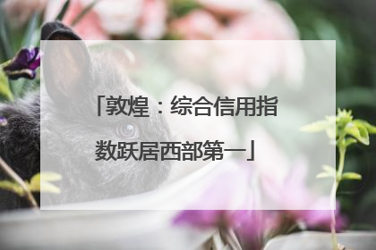 敦煌：综合信用指数跃居西部第一