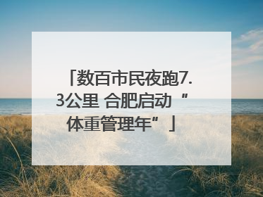 数百市民夜跑7.3公里 合肥启动“体重管理年”