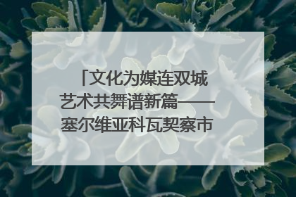 文化为媒连双城 艺术共舞谱新篇——塞尔维亚科瓦契察市代表团访问日照