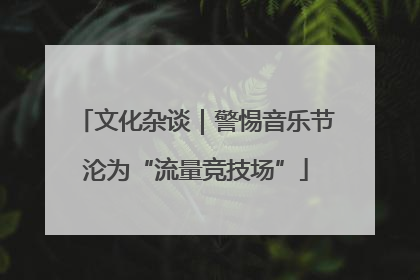 文化杂谈｜警惕音乐节沦为“流量竞技场”